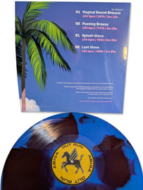 Starburst Glitter 12" Vinyl, image 2