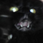 M thumbnail