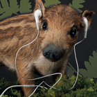 inhaizer thumbnail