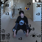 punchthegoose thumbnail