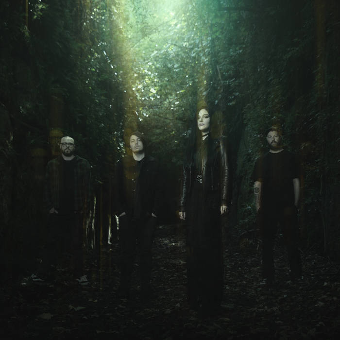 Music | Light Field Reverie