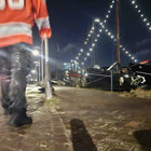 willis205 thumbnail