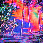Matthew Trost thumbnail