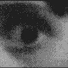 raintogaphy thumbnail