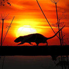phantomtherat thumbnail