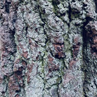 Panorama Bar 05 | Various Artists | Ostgut Ton