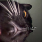 sfoster118 thumbnail