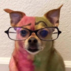 toferc thumbnail