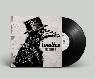 Toadies - The Charmer vinyl LP, image 1