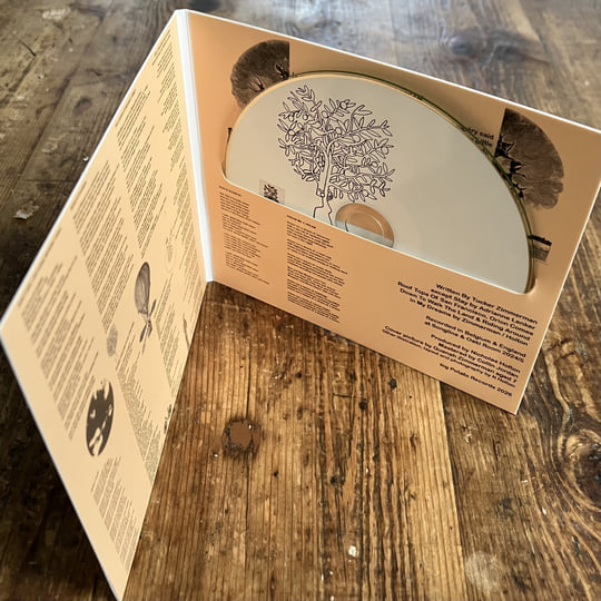 Dream Me A Dream | Tucker Zimmerman | Big Potato Records