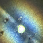 tonic thumbnail