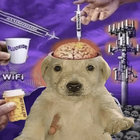 whodisyphus thumbnail
