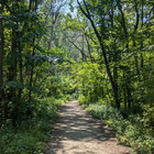 enbyenvironmentalist thumbnail