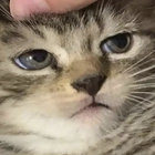 bodyclick thumbnail
