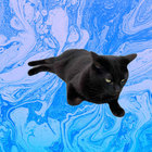 austin123456789 thumbnail