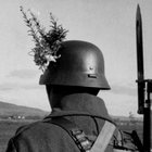 inmortui thumbnail