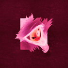 CANIDAE thumbnail