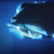 Eigenrauschen_Noise thumbnail