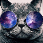 garibaldi_ thumbnail