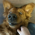jamooves8891 thumbnail