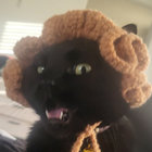 debt_flavored thumbnail