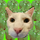 skulduggerycat thumbnail