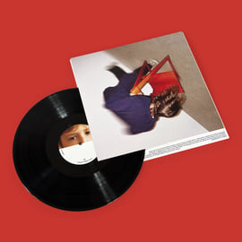 12" Vinyl with folded cover, image 1