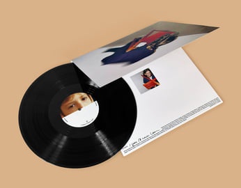 12" Vinyl with folded cover, image 2