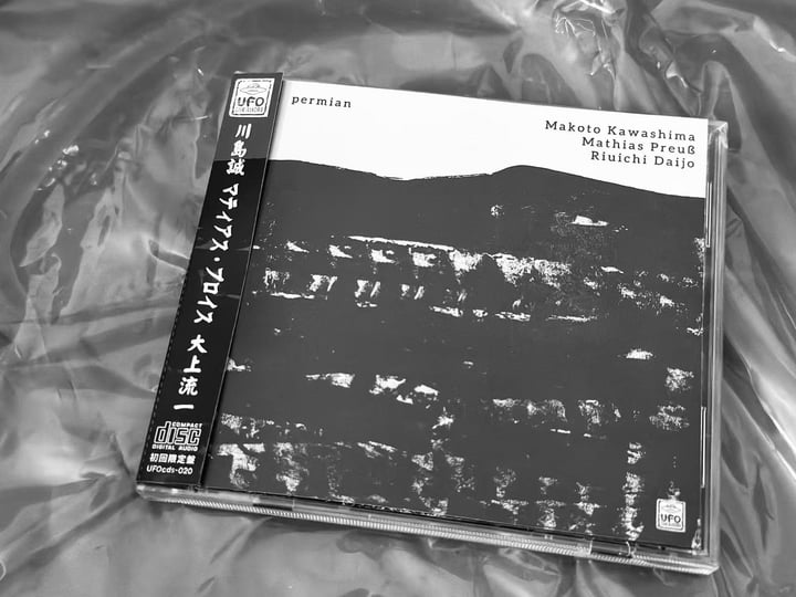 Permian 二叠纪| Kawashima Makoto 川島誠/ Riuichi Daijo 大上流一