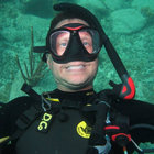davidcorvette thumbnail