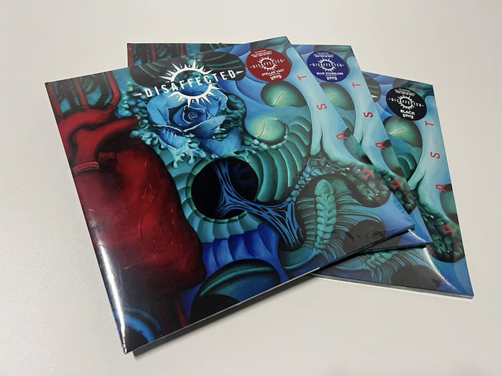 輸入盤帯付き国内仕様 DISAFFECTED 「Vast」CD 最大15%OFFクーポン DISAFFECTED/VAST CD 【公式通販】
