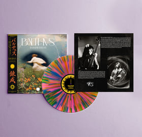 Vinyl (First Pressing -US Shipping), image 2