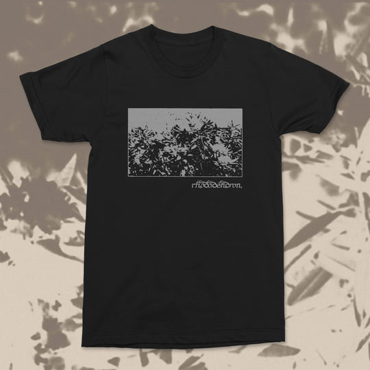 Ascent Effort | Rhododendron