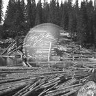 m77_77m thumbnail