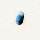 The Moon Is A Bell thumbnail