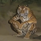 heberilara thumbnail