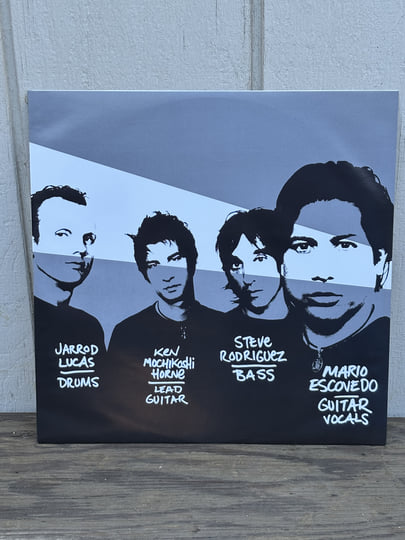 Rock N Roll Kamikaze | The Dragons
