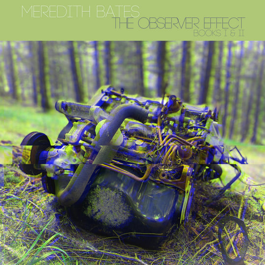 The Observer Effect - Books I & II | Meredith Bates
