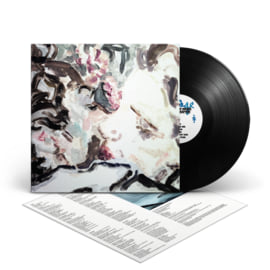 Black LP, image 3