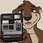 bradwbonn thumbnail