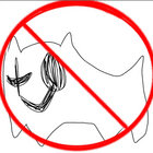 Vry Where NT thumbnail