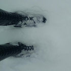 terrapinstationtostation thumbnail