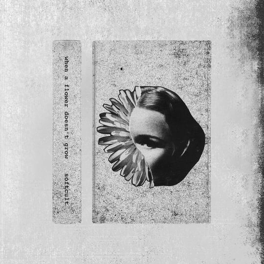 When A Flower Doesn't Grow | Softcult