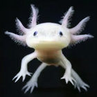 treelovingfreak thumbnail