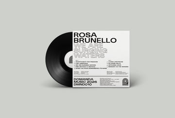 Limited Edition 12" Vinyl, image 2