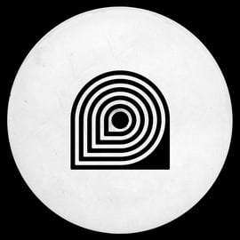 Limited Edition 12" Vinyl, image 4