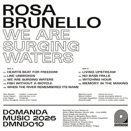 Limited Edition 12" Vinyl, image 5