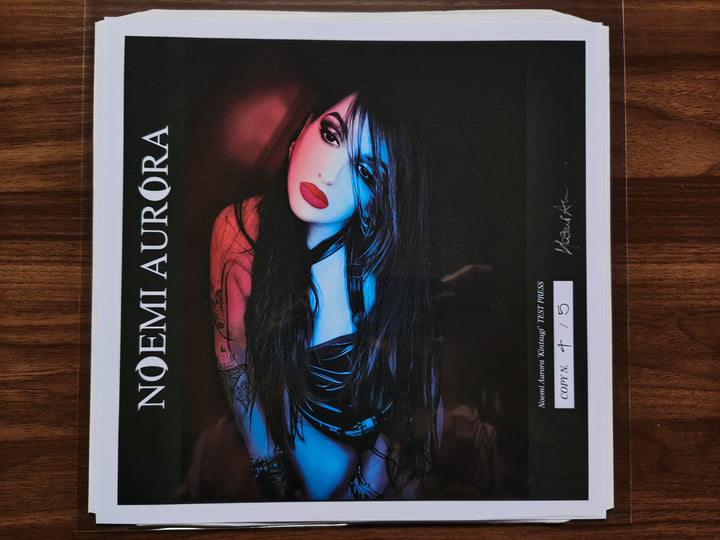 Kintsugi (Disaster Version) | Noemi Aurora