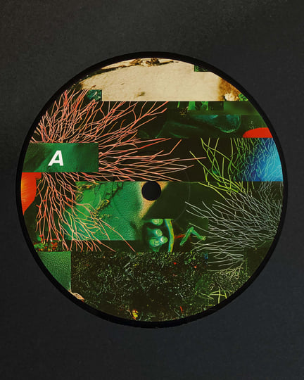 Leev Ur Mynd | Mr Fingers | Alleviated Records