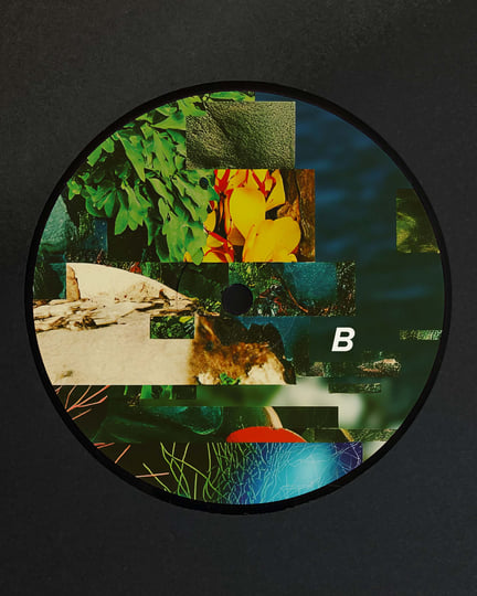 Leev Ur Mynd | Mr Fingers | Alleviated Records